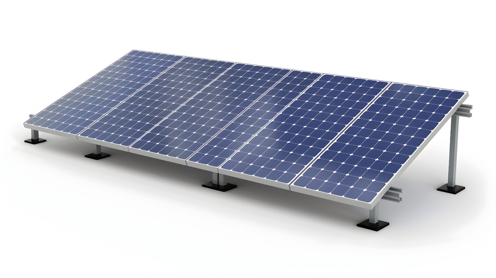 whatsapp image 2026 01 03 at 2.10.02 pm